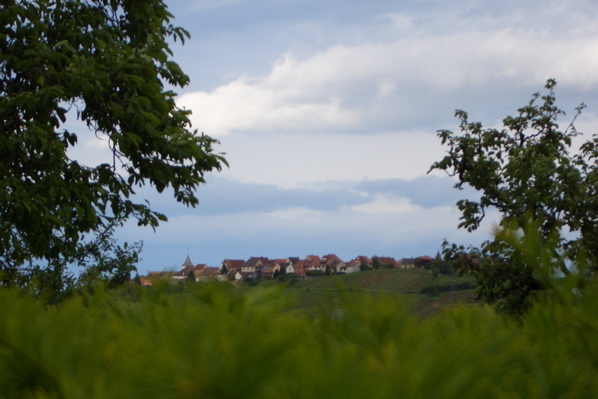 Petit village alsacien