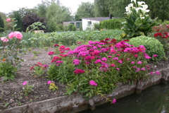 Les hortillonnages
