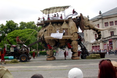 L'&eacute;l&eacute;phant