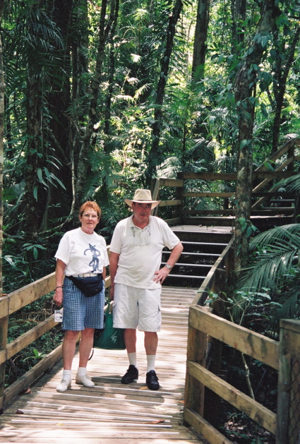 QUEENSLAND/Daintree