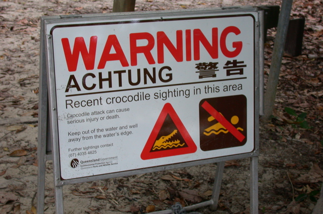 QUEENSLAND/Daintree/Cape tribulation