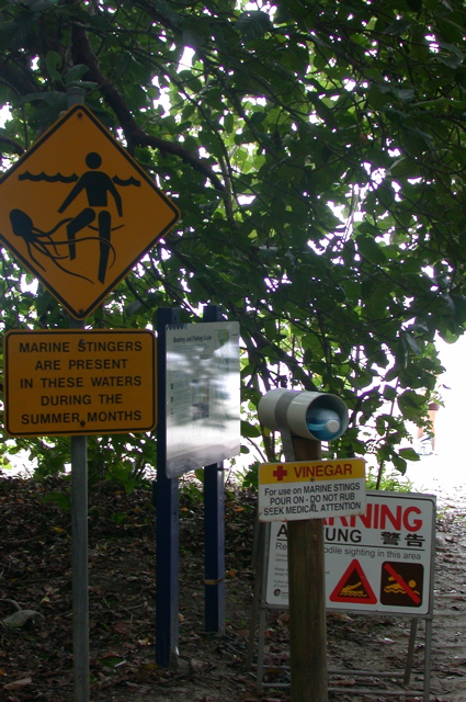 QUEENSLAND/Daintree/Cape tribulation