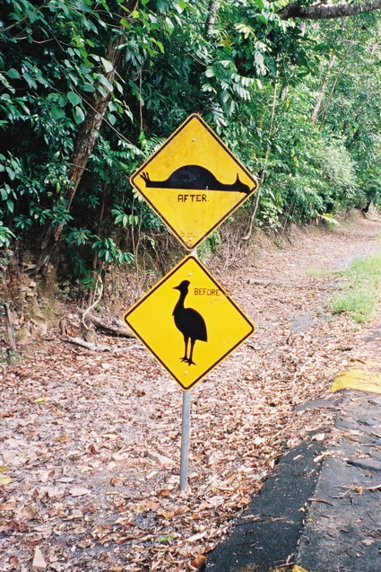 QUEENSLAND/Daintree/panneau cassowary