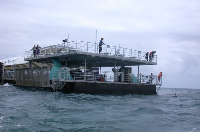 QUEENSLAND/Cairns/Reef