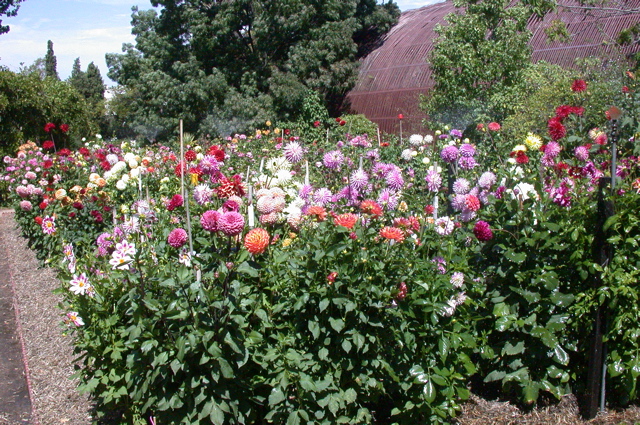 VIC/Melbourne/Rippon Lea/jardin