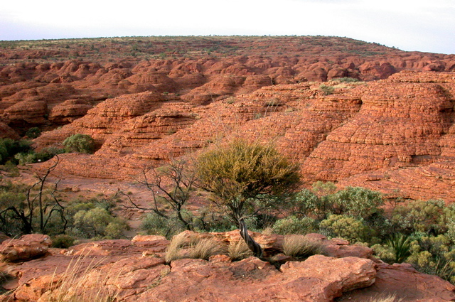 NT/Kings canyon