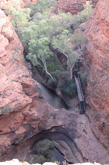 NT/Kings canyon/jardin d'Eden