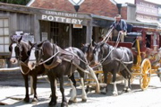 VIC/Ballarat/Sovereign hill