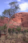 NT/Kata Tjuta