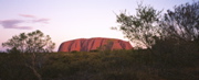 NT/Uluru/sunset