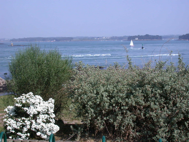 courants sur le golfe