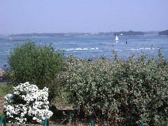 courants sur le golfe