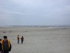 Cayeux la route blanche