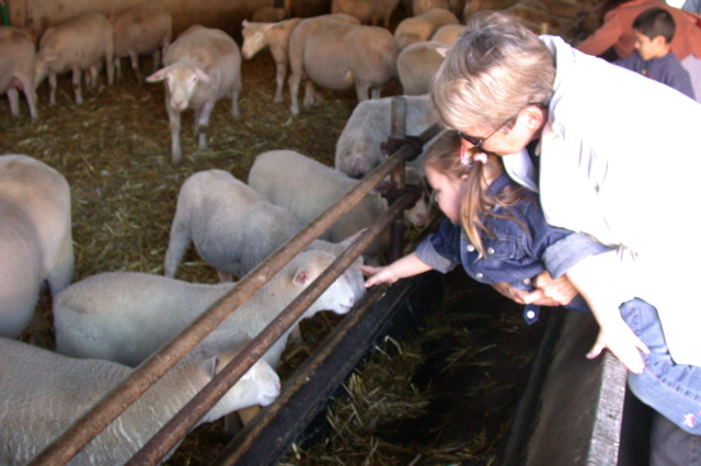 bergerie de rambouillet