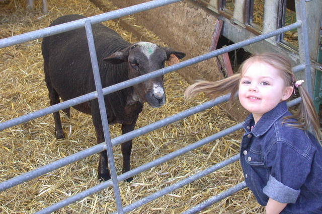 bergerie de rambouillet