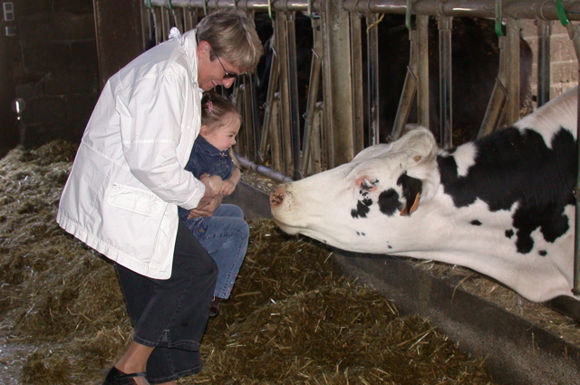 bergerie de rambouillet