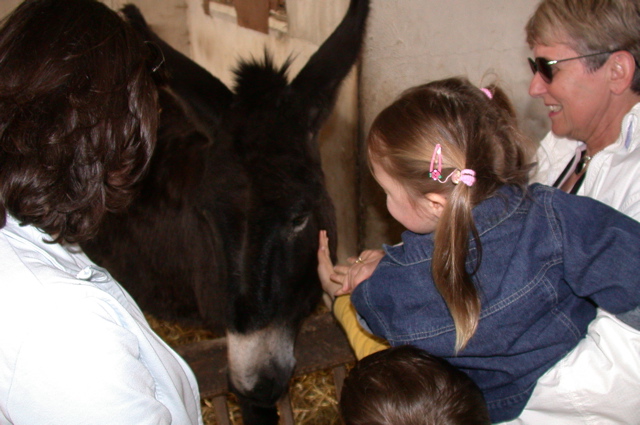 bergerie de rambouillet