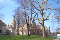 de la terrasse de Bruhl