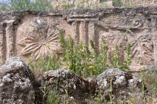 Jérash/temple de Jupiter