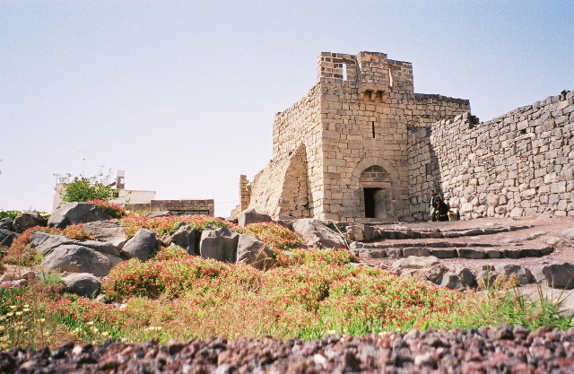 Amman/la citadelle
