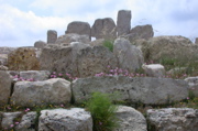 Mnajdra temple