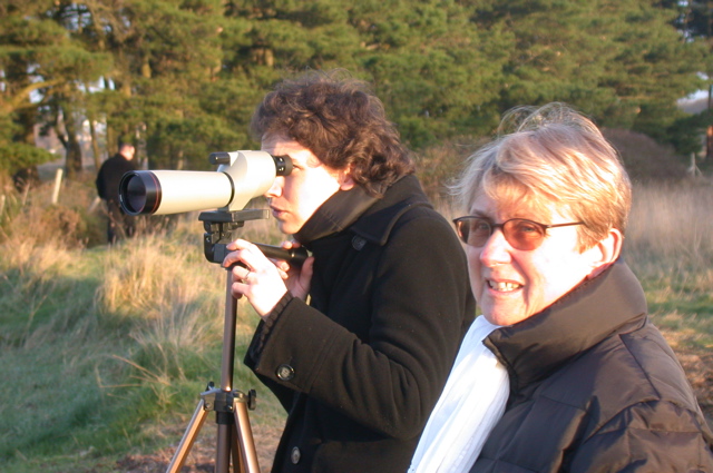 Observation des oiseaux marais du Duer