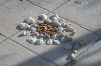 Fleur de galets sur la terrasse