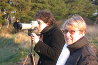 Observation des oiseaux marais du Duer