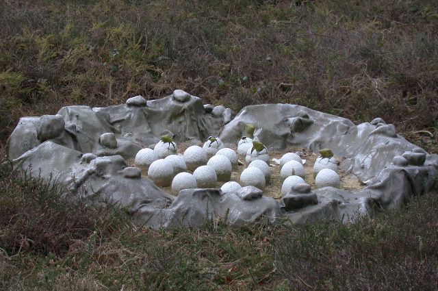 oeufs de Brachiosaure