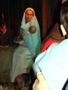 Marie,-Jésus-et-l'-Âne-2