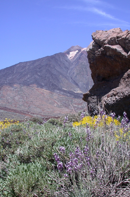 Le Teide 