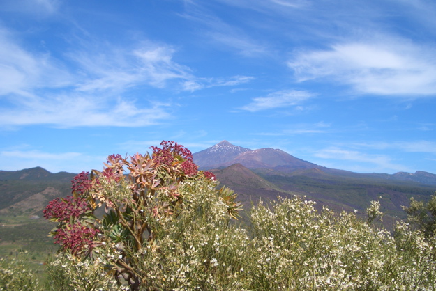 Le Teide 