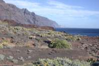 Punta de Teno