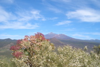 Le Teide 