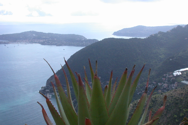 Eze jardin botanique