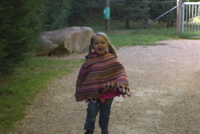 Auneau parc de f&eacute;lins